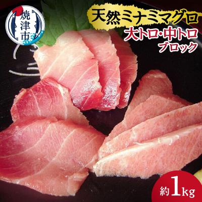 ふるさと納税 焼津市 天然ミナミマグロ 大トロ 中トロブロック 約1kg(a30-158) | 