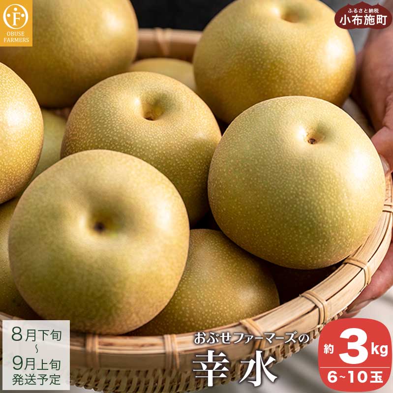 【ふるさと納税】幸水 秀品 約3kg 6〜10玉 [おぶせファーマーズ] 果物 フルーツ 和梨 旬の果物 お取り寄せ 産地直送 国産 長野県産 信州産 数量限定 令和8年産 【2026年8月下旬～9月上旬発送】