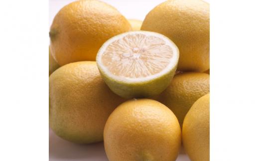 ＜9月より発送＞厳選 黒潮レモン5kg+150g（傷み補償分）【和歌山有田産】【防腐剤・WAX不使用、安心の国産レモン】 ※北海道・沖縄・離島への配送不可 /レモン れもん 柑橘 フルーツ 果物 果実