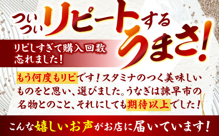 うなぎ蒲焼4尾 うなぎ ウナギ 鰻 蒲焼き 蒲焼 かばやき うな重 ひつまぶし うな重 うな丼 冷凍