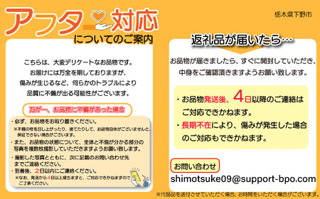 【先行予約】【2026年9月より順次発送】梨 秋月 3kg |  | 栃木県 下野市