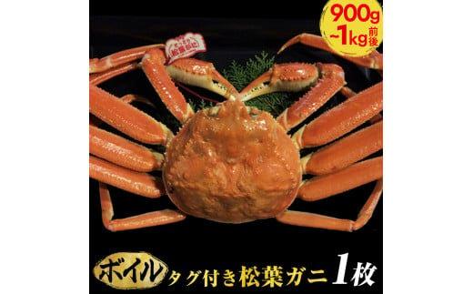 663.【ボイル】タグ付き松葉ガニ　特大1枚（900g～1kg前後）【着日指定不可】※2025年11月上旬～2026年3月下旬頃に順次発送予定《かに カニ 蟹》 313726_AL011VC02