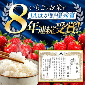 【栃木県共通返礼品】【定期便6回】冷凍いちご 2kg | いちご とちあいか 冷凍 冷凍イチゴ スイーツ ジャム スムージー たっぷり 大粒  甘い 美味しい 果物 デザート 栃木県 那珂川町 送料無