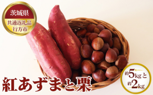 No.635 【先行予約】紅あずま 約5kgと栗 約2kg【茨城県共通返礼品 行方市】 ／ 野菜 さつまいも くり 茨城県