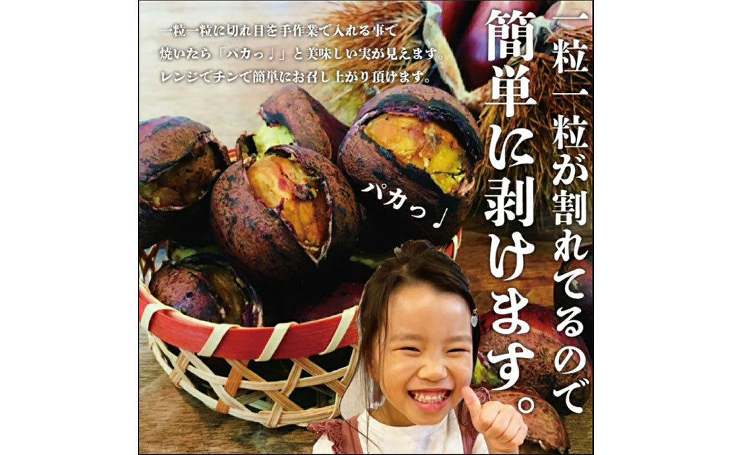 【定期便6ヵ月】無添加和栗専門店 美むらの和栗 焼き栗 500g