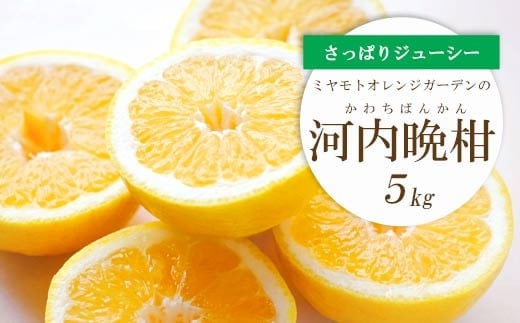 ＜2025年4月下旬頃出荷＞苦味の少ない和製グレープフルーツ 河内晩柑 5kg＜C25-130＞【1151744】