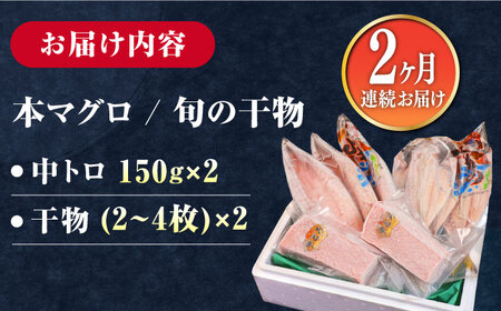 【全2回定期便】対馬産 本マグロ 中トロ300g ＆干物《対馬市》【対海】 新鮮 マグロ 鮪 本鮪 トロ 海鮮 冷凍 浜干し[WAH031]