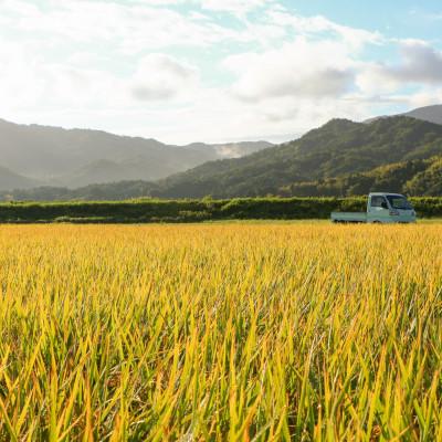 ふるさと納税 与謝野町 令和7年新米　大江山の麓、京都府与謝野町で育った丹後産コシヒカリ　精米5kg　おいしいお米を農家直送 |  | 01