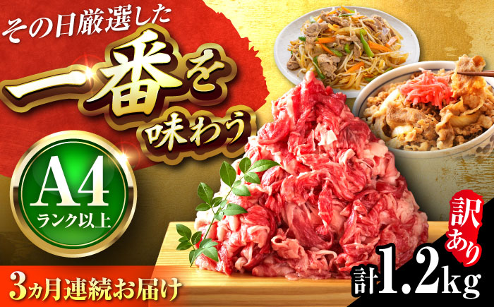 【全3回定期便】【訳あり】【A4~A5】博多和牛 切り落とし 1.2kg(600g×2P) 吉富町/株式会社MEAT PLUS [BGAB092] 国産 和牛 ブランド牛 切り落とし 赤身 小分け きりおとし福岡県