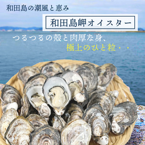 牡蠣 12個 計480g～600g 生食用 殻付きかき