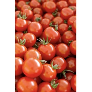 芳醇高糖度ミニトマトの贅沢ジャム(2個)と、贅沢無添加トマトジュースのセット【1652157】