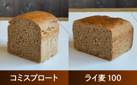 【全6回定期便】自家製酵母使用 ライ麦パン 4個セット／パン ライ麦【earth7716factory】[ASBV010]