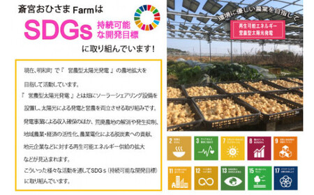 菊芋 加工品 6点セット 粉末 パウダー イヌリン 国産 いも 菊芋茶 菊芋チップス SDGs エコ サスティナブル 農薬不使用 食物繊維 野菜 ドレッシング サポート 三重県産