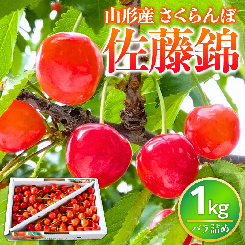 【ふるさと納税】山形県産 さくらんぼ 佐藤錦 1kg バラ詰め FY26-073