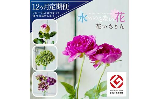 【12回定期便】水のいらない花　ゼロフラワー定期便「花いちりん」 SL0225