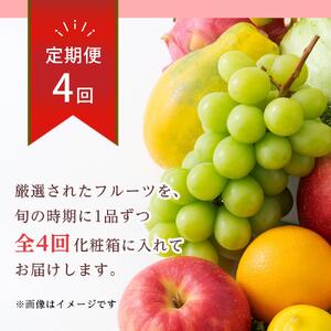 【全4回】厳選さぬき讃フルーツ定期便