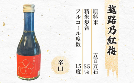 日本酒 新潟 上越の地酒 6銘柄×1本 日本酒セット ギフト 飲み比べ 地酒 上越 300ml×6本 父の日 国産 店長オススメ おすすめ 純米 吟醸
