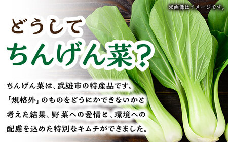 【やみつきのシャキシャキ食感】ちんげん菜キムチ 2袋セット [UDD005] キムチ キムチ2袋 チンゲン菜キムチ