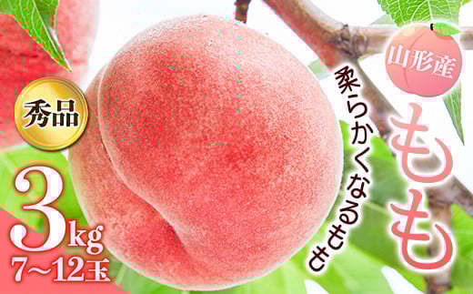 
            《先行予約 2025年発送》山形産もも3kg（柔らかくなるもも）  もも モモ 桃 デザート フルーツ 果物 くだもの 果実 食品 山形県 FSY-0173
          