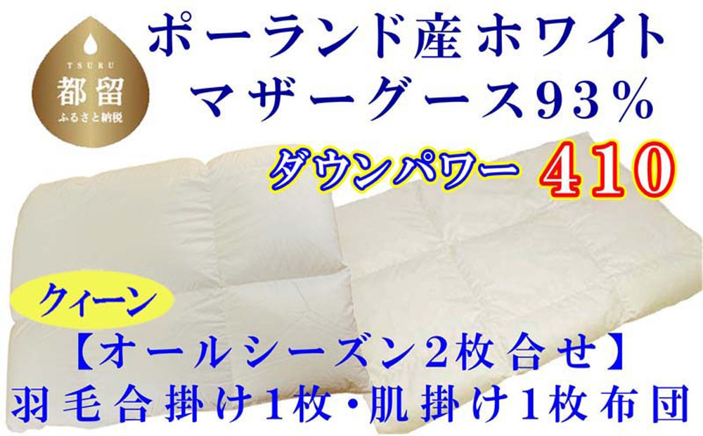 
                  【合掛け布団・肌布団】ポーランド産マザーグース93％ 羽毛合掛け・肌布団2枚組（クイーン：220cm×210cm）（ダウンパワー410）CK411
                