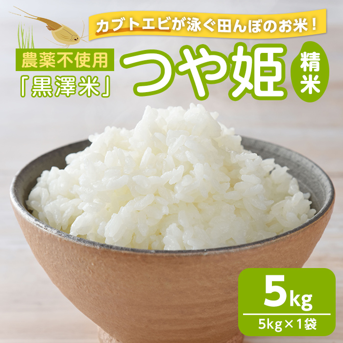 農薬不使用 つや姫 精米 5kg ＜カブトエビ田んぼで育てたお米＞ 黒澤米 宮城県登米市産 おこめ 米 コメ 白米 ご飯 ごはん おにぎり お弁当 【株式会社天体】tm448