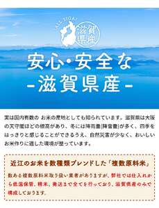 【令和7年産含む】 近江ブレンド米 5kg 愛荘町産 白米 精米 米 お米 単一原料米 ブランド米 銘柄米 国産 ご飯 白飯 ゴハン 食品 支援 支援品 生活支援 生活応援 送料無料 AY001 [A