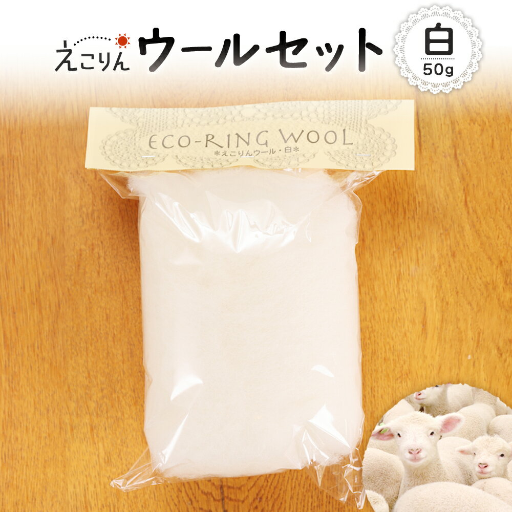 【ふるさと納税】えこりんウールセット《白》 手芸キット ウール 生地 手芸 手作り ふるさと納税 北海道 恵庭 恵庭市【19005101】
