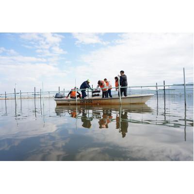 ふるさと納税 近江八幡市 [木珠×真珠]希少天然木と西の湖「琵琶パール」チェーンネックレス(赤) |  | 03