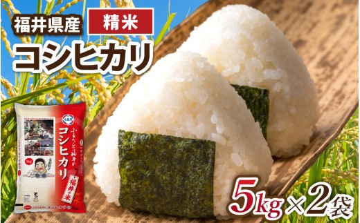 【選べる容量】令和7年産 福井県産コシヒカリ【精米 5kg×2袋】 [B-014021]  / 米 こめ お米 コメ ごはん ご飯 飯 七年 7年産 5kg 10kg 1袋 2袋 精米 白米 単一米 ブランド