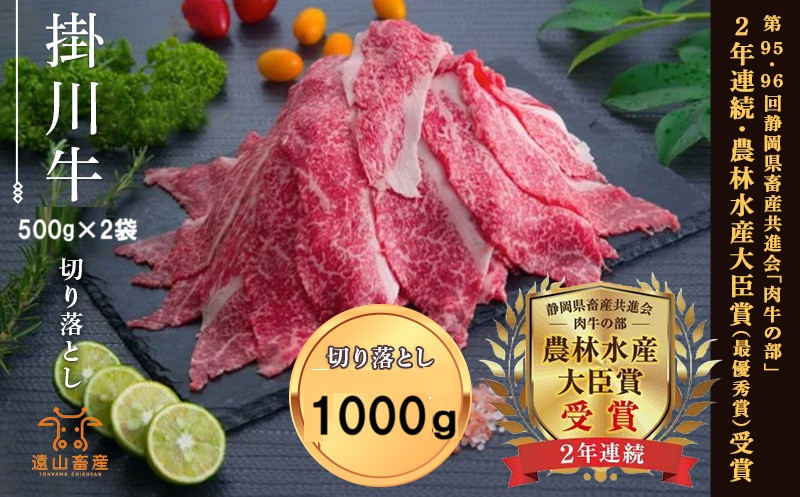 
            ６３３０　牛肉 掛川牛 「 和牛 」 切り落とし 1000ｇ（500ｇ×2P 小分け ） 遠山畜産 　
          