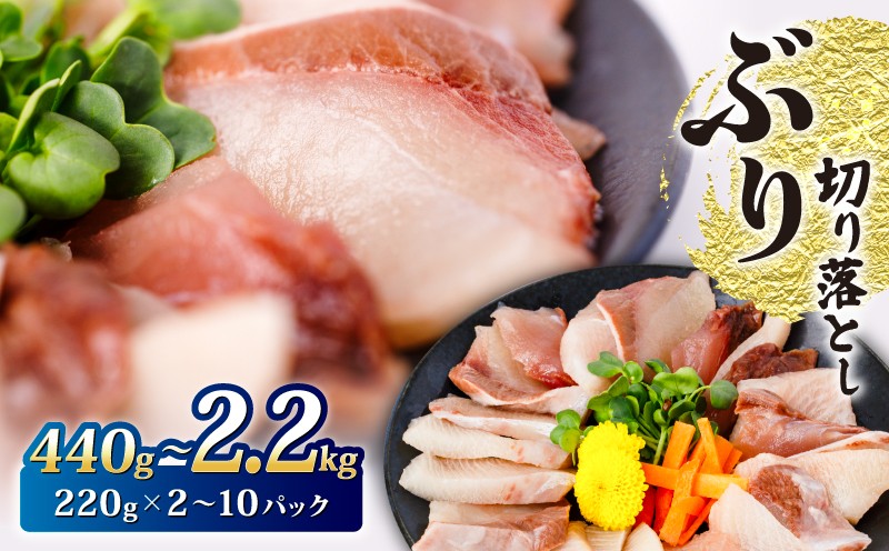 
                  ぶり カット 440g～2.2kg 220g ×2～10パック ブリしゃぶ 鰤 刺身 ぶり 刺身 ブリしゃぶ ぶり ブリ 切り身 冷凍 魚 魚介 国産 おかず お弁当 料理 ご飯 惣菜 しゃぶしゃぶ 照り焼き ブリ刺身 刺し身 便利 たっぷり おいしい 三重県 南伊勢 海鮮丼 6000円 六千円 10000円 一万円 20000円 二万円 GWGG_003-005
                