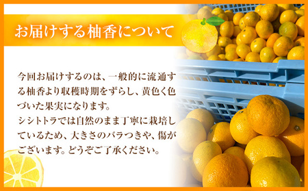 ＜ 予約受付開始 ＞ 訳あり 完熟柚香 ゆこう 約3kg シシトトラ《11月中旬-12月下旬頃出荷》 │ 柑橘 家庭用 柑橘 訳あり 柑橘 徳島県 柑橘 ご当地食材 レア 幻の果実 ぽん酢 加工用 柑