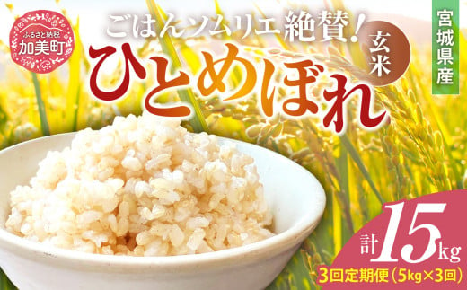 【3回定期便】新米 玄米 令和6年産 宮城県加美町産ひとめぼれ 計15kg (5kg×3回) [菅原商店 宮城県 加美町]  | sg00002-r6-5kg-3