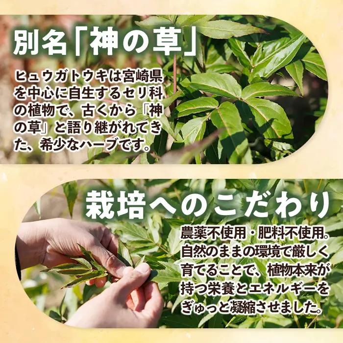 ひのき入り ヒュウガトウキ入浴剤(35g×2個入×2袋) 風呂 便利 簡単 生薬 ヒュウガトウキ 日本山人参 宮崎県産 国産【SF-06】【SMILE FARM】