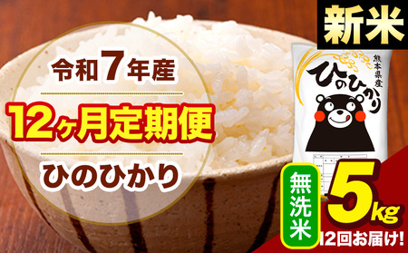 令和7年産 【12ヶ月定期便】 無洗米 米 ひのひかり 5kg《お申込み翌月から出荷》熊本県 大津町 国産 熊本県産 無洗米 送料無料 ヒノヒカリ こめ お米
