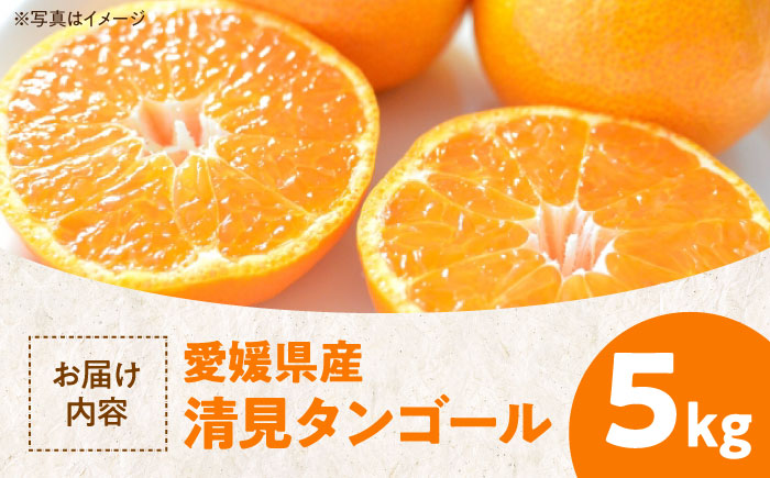 【先行予約】【2026年3月下旬から順次発送】清見タンゴール 5kg　愛媛県大洲市/永沼農園 [AGAW005]みかん オレンジ フルーツ ミカン 果物 愛媛みかん みきゃん スムージー デザート お