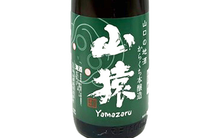 純米酒・特別純米酒・からくち本醸造 1800ml 3本（定番セット）日本酒 永山酒造 アルコール 酒 晩酌 F6L-1355