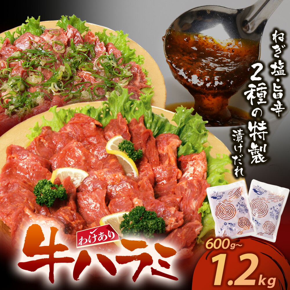 【ふるさと納税】【訳あり】 牛ハラミ肉2種600g〜1.2kg 旨辛ダレ ねぎ塩 牛肉 焼肉 味付け肉 やきにく タレ 漬け 付き 小分け 個包装 アウトドア キャンプ 大人気 人気 BBQ 簡単 冷凍 家庭用 大人気 コスパ 福智 お試し 博多若杉 送料無料 父の日 U61-43 U61-44 U61-43R01