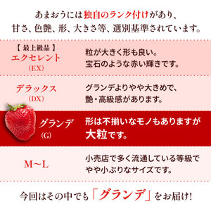 【1月より順次発送】福岡県産 あまおう 1000g(250g×4パック)(筑後市)【配送不可地域：離島】【1508816】