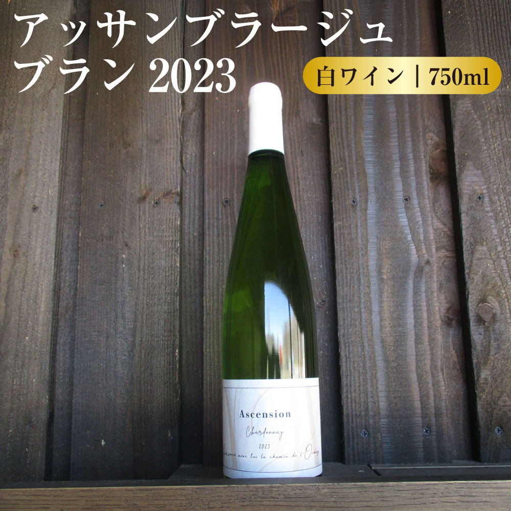 【ふるさと納税】白ワイン L'Assemblage Blanc 2023(アッサンブラージュ ブラン2023) 白 ワイン 白ワイン 750ml お酒 酒 洋酒 アルコール ぶどう酒 北海道 鷹栖町 送料無料