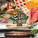 【ふるさと納税】東三河 どうまい 定期便 プレミアム 全6回 鴨 鍋 / いちご / うなぎ / みかん / ステーキ / 和牛 牛肉 定期 高評価 お楽しみ 鴨肉 フルーツ 鰻 苺 冷凍 訳あり 海鮮 半年 6回 期間限定 数量限定 定期 6ヵ月 愛知県 豊橋市 送料無料 160000円