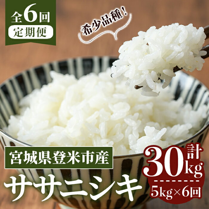 【ふるさと納税】＜先行予約！2025年10月から発送開始予定＞≪令和7年産≫【6回定期便】ササニシキ 計30kg (5kg×6回配送) 登米市産 お米 おこめ 米 コメ 白米 ご飯 ごはん おにぎり お弁当 6か月 頒布会【登米ライスサービス株式会社】tm460