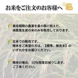 【無洗米】ひのひかり 約5kg ( お米 愛媛県産米 ふるさと納税お米 こめ ご飯 ご飯のおとも)【VEG051musen】