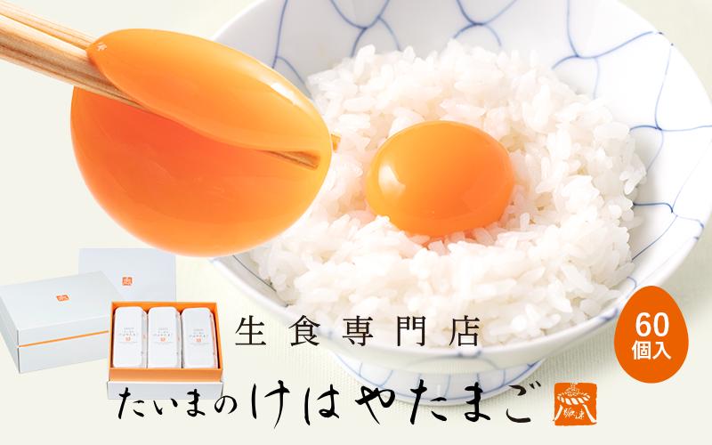 
            たいまのけはやたまご　60個入り　／たまご　生卵　奈良県　葛城市【tegg003】
          