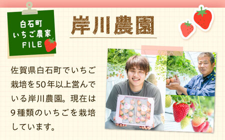 いちご【4回定期便】いちご食べ比べ IAP011