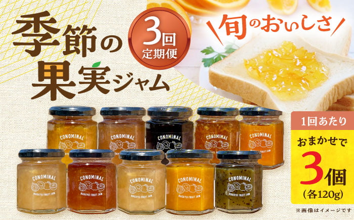 
                  【3回定期便】季節の果実ジャム 3個（各120g） 長与町/アグリューム [EAI089]  ジャム じゃむ jamu 詰合せ 詰め合わせ セット
                