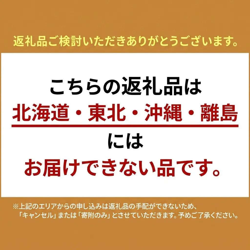 いちご あまおう 2L以上 約1.04kg（260g×4パック）東北 いちご