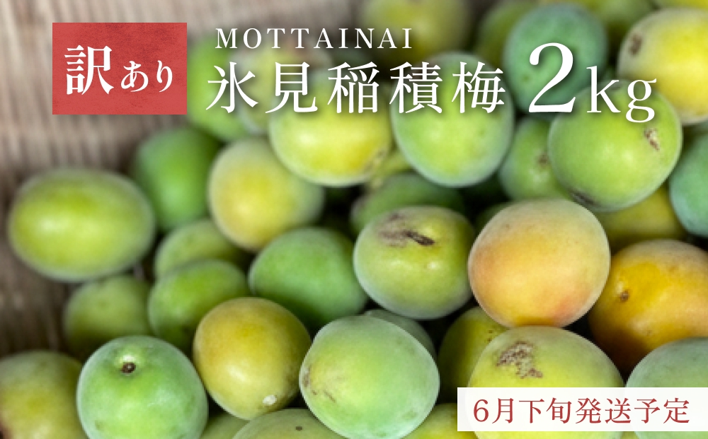 【訳あり】【先行予約】MOTTAINAI 氷見稲積梅 2kg ＜2026年6月下旬発送予定＞ 富山県 氷見市 青梅 果物 訳アリ