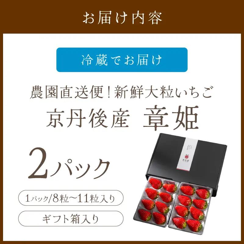 イチゴ 章姫 8-11粒×2パック | 大きないちご