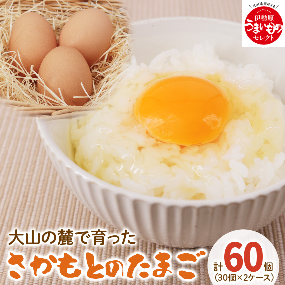 たまご 60個 (30個×2ケース)｜坂本養鶏 大山の麓で育ったさかもとのたまご 赤玉卵 玉子 鶏卵 [0089]